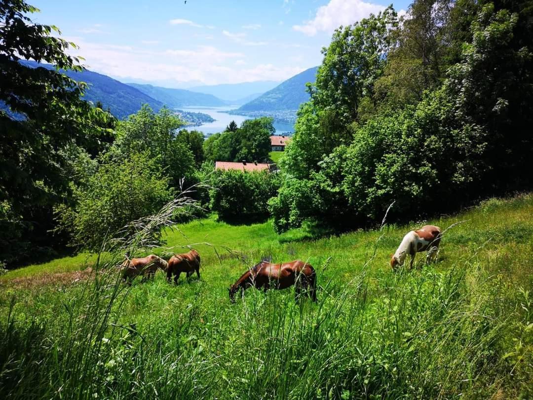 Appartement Lake View Steindorf am Ossiacher See Εξωτερικό φωτογραφία